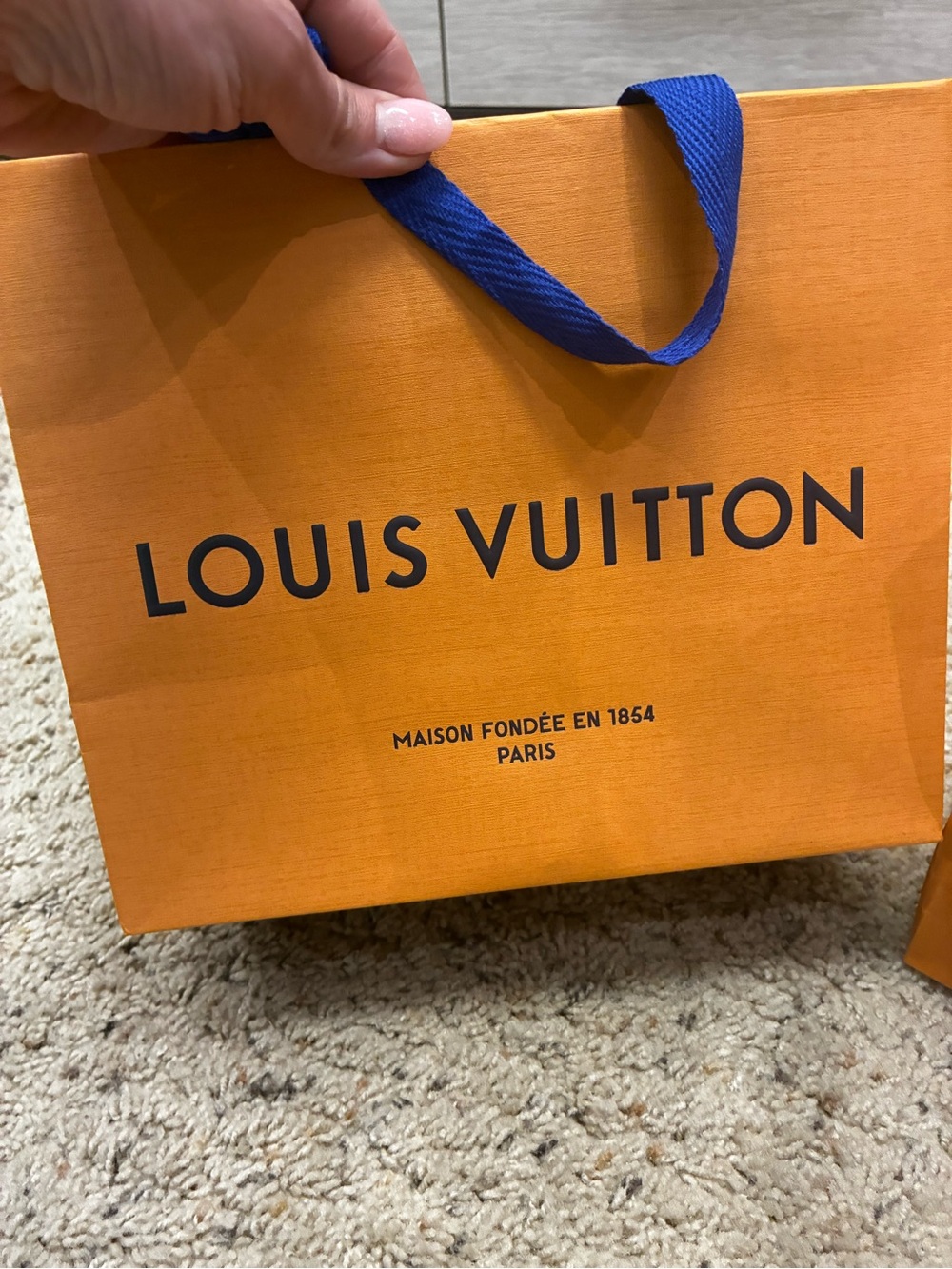 LV Gift Bags with Blue Ribbon Handles